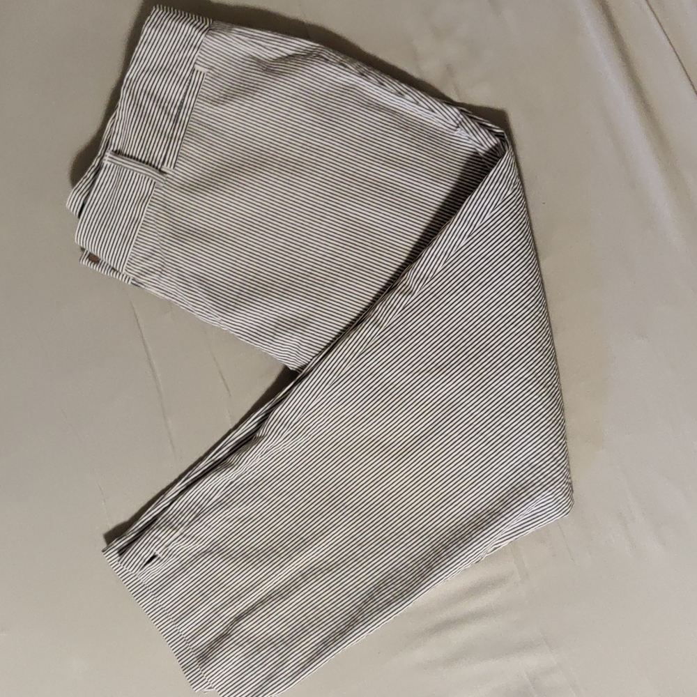 Ann Taylor Factory Julie Cury Capri